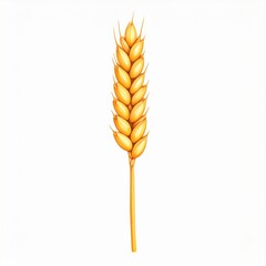 Golden Wheat Ear on White Background