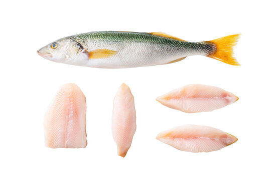 Perfectly lit whole sea-bass flat-lay, no background