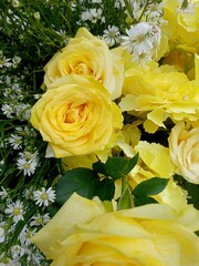 yellow roses bouquet