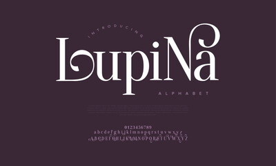 Decorative serif font with dramatic flourishes, perfect for luxury and feminine design