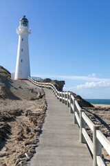 Castlepoint Lighthouse stands tall against a clear blue sky in New Zealand. A walkway leads to the iconic landmark, guiding visitors to experience its beauty.