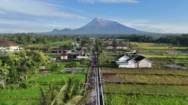 A vibrant rural scene in Central Java, Indonesia, featuring traditional houses, lush rice paddies, and Mount Merapi rising majestically in the distance under a clear blue sky.