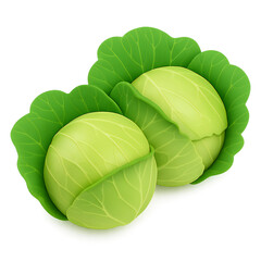 Two green cabbages with large leaves, isolated on a white background.