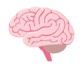 Pink Human Brain Graphic