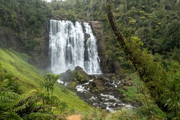 Obraz premium Water cascades down the Marokopa Falls, surrounded by lush green forest in New Zealand. The falls are a popular tourist destination because of their beauty.