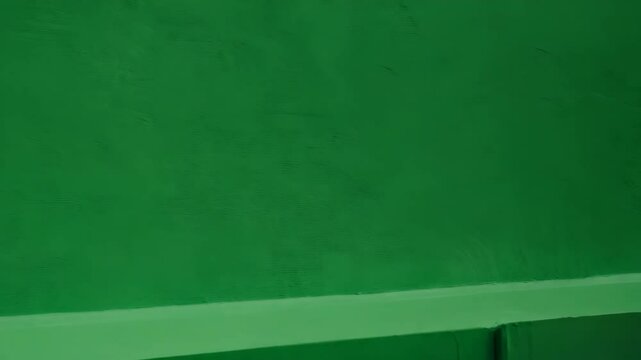 Smoothly panning across a vibrant green painted textured wall in natural sunlight, showing its unique surface design.