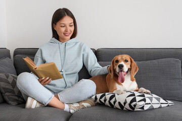 Young woman reading book near adorable Beagle dog on sofa in living room