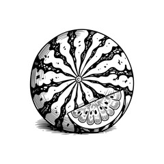 Detailed Engraved Watermelon with a Slice