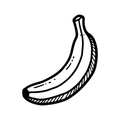 Hand-drawn illustration of a banana
