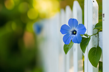 flowers on a wooden background