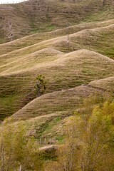 Rolling hills covered in dry grass create a textured landscape in Pongaroa, Manawatu-Wanganui, New Zealand. The pattern of the land is visually appealing and evokes a sense of peace.