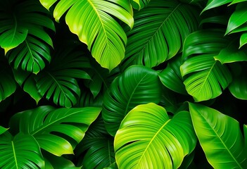 Large tropical leaves wallpaper in vibrant green and lush tones, creating a jungle-like atmosphere,  lush,   stylish