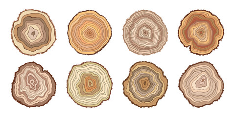 Log cut set, tree rings pattern, isolated on white background, vector design