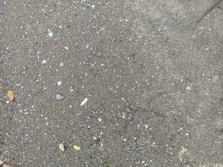 Gravel and Dirt Ground Texture. An overhead view of a mixed surface of small stones, pebbles, and earthy dirt with a few scattered leaves