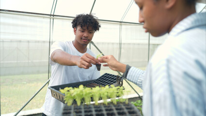 Two young people in a greenhouse discussing seedling growth while holding trays of sprouts