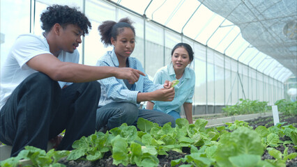 Group of young people examining lettuce plants in a greenhouse