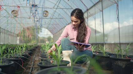 Portrait of young people examining plants in a greenhouse, learning about sustainable