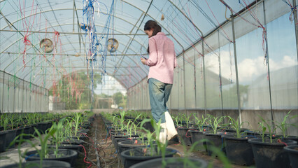 Portrait of young people examining plants in a greenhouse, learning about sustainable