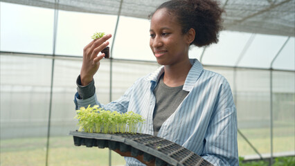 Portrait of young people examining lettuce plants in a greenhouse
