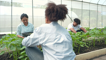 Group of young people examining lettuce plants in a greenhouse
