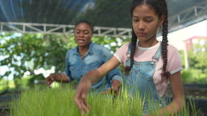 Smiling mom and daughter holding a tray of young rice plants