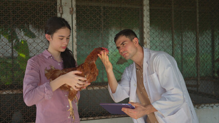 On a chicken farm, a teenager and a veterinarian are monitoring the hen growth