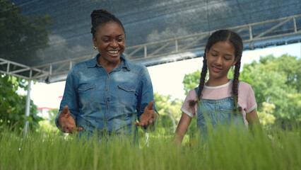 Smiling mom and daughter holding a tray of young rice plants