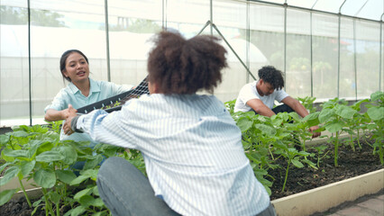 Group of young people examining lettuce plants in a greenhouse