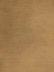 Fototapeta premium Textured Wooden Surface with Horizontal Grain and Subtle Imperfections