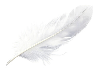 A Single White Feather With A Soft Delicate Texture Against A Transparent Background