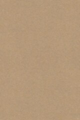 Textured Beige Background Detailed CloseUp of Rough Mottled Surface