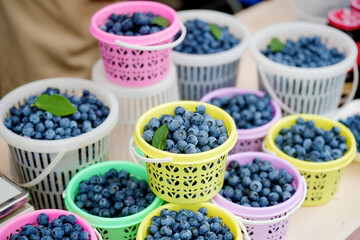 blueberries in a bowl