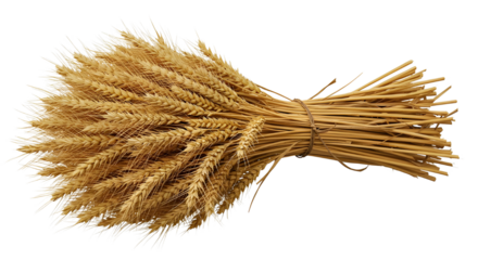 png Wheat Sheaf Bundle Isolated