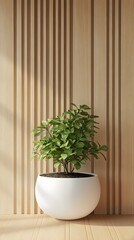 Fototapeta premium Green plant in white pot on wooden slat wall shelf
