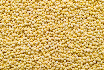 Yellow millet grain texture background, Food ingredient