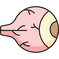 Retina Specialist Sticker