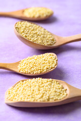 Yellow millet grain in wooden scoop and spoon on purple background, Food ingredient