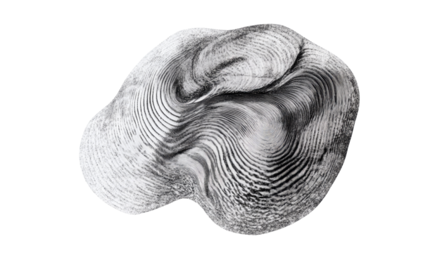 Abstract organic form with intricate texture