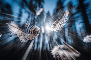 Abstract Artistic Shot of Feathers Floating in a Dreamy Forest Background with Light Effects