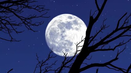 Mysterious night: animated full moon rising over trees with twinkling stars backdrop