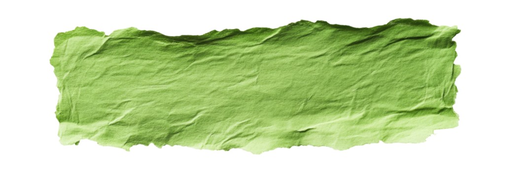 Textured Light Green Area