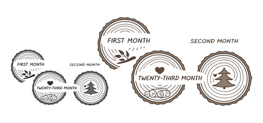 Hand-drawn illustrations of tree rings depicting different months with relevant icons in an aesthetic and minimalist style