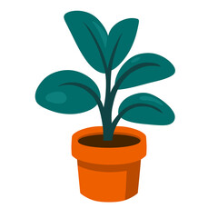 Indoor Potted Plant