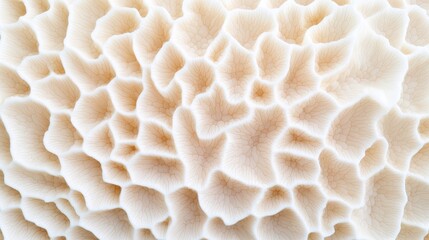 Environmental Degradation: Macro Shot of Bleached Coral Texture Symbolizing Ocean Acidification Crisis with Copy Space