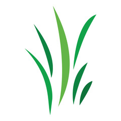 Nature background and silhouette
