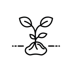 Seed transforming into a tree growth icon vector illustration
