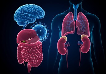 Human anatomy with virus, brain, lungs, liver, intestines, and kidneys