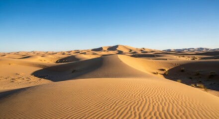 Golden Sands of the Sahara Desert: Breathtaking Dunescape at Sunrise