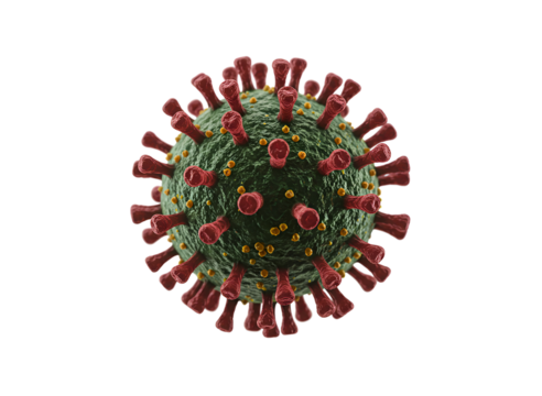 Coronavirus sars cov 2 virus particle isolated on transparent background