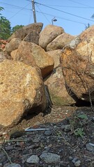 rocks in the forest